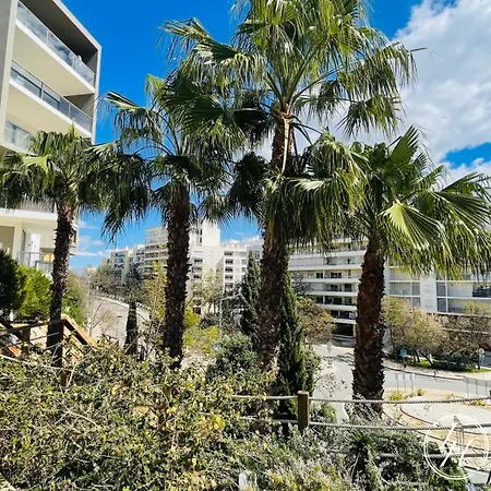 Flordarocha - Modern - Pool - 500m - Garden *